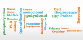 abnova-antibody-pairs-fpr