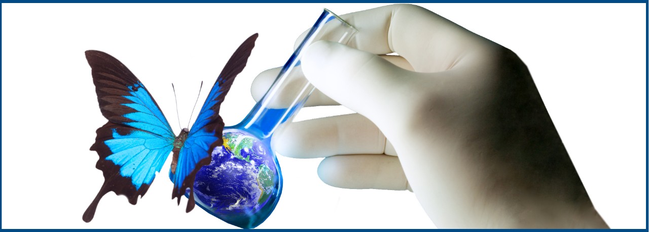 The world in a test-tube