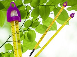 double-safe-tree