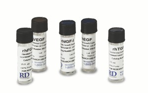 rnd-systems-proteins