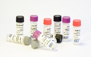rnd-systems-antibodies