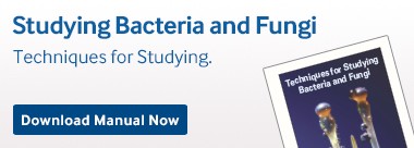 carolina-biological-studying-bacteria