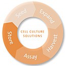 corning-cellculture