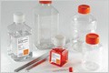 corning-cellculture-harvest
