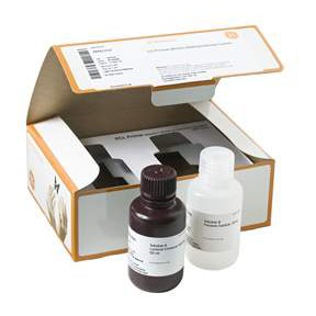 ecl-detection-reagents