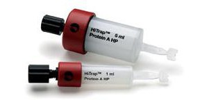 protein-a-protein-ge-hitrap