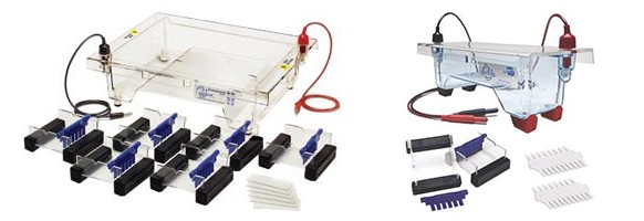 electrophoresis-apparatus electrophoresis-apparatus