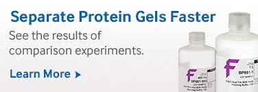 Separate Protein Gels Faster