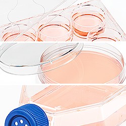 cell-culture-applications-heading-18-097-0047
