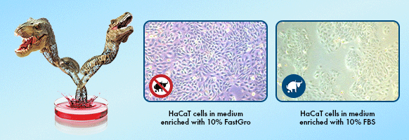 FastGro