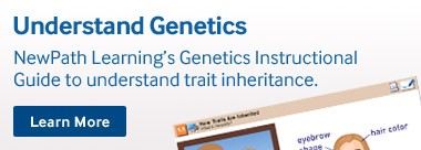 new-path-understand-genetics
