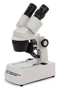 STEREO-MICROSCOPES-fisher-sci