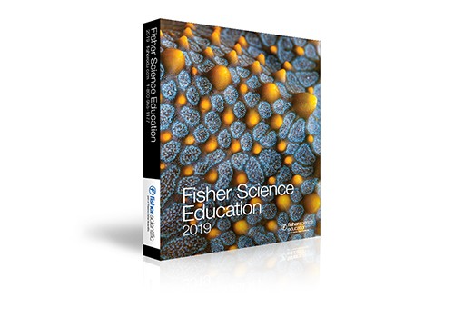 fse-catalog-ordering-winner-2023 fse-catalog-ordering-winner-2023