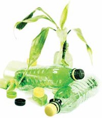 plant-bottle plant-bottle