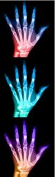 hand-x-ray hand-x-ray