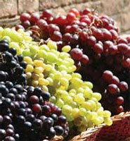 grapes grapes