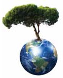 earth-tree earth-tree