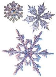 snowflakes snowflakes