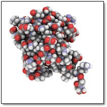 radical-energy-polymers radical-energy-polymers