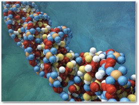 synthetic-life-xna synthetic-life-xna