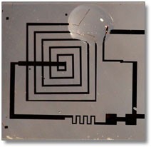 transient-electronics transient-electronics