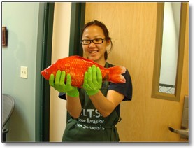 giantgoldfish giantgoldfish