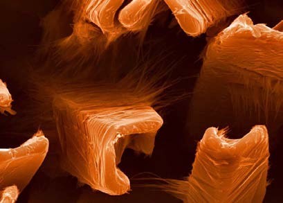 nanowire nanowire