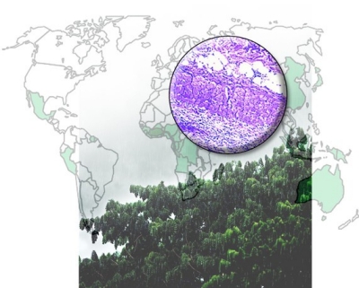 climate-change climate-change