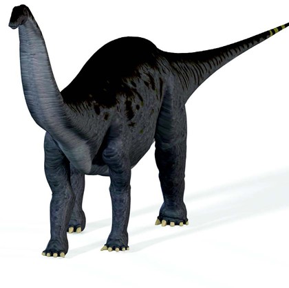 brontosaurus-vs-apatosaurus brontosaurus-vs-apatosaurus