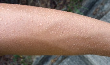 sweat sweat