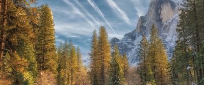 A Century of Preserving Our National Treasures A Century of Preserving Our National Treasures