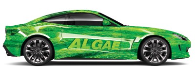 algae-car-article-2 algae-car-article-2