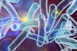 pathogens pathogens