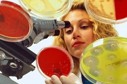 microbiologist microbiologist