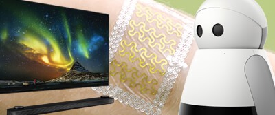 ces-0035 ces-0035