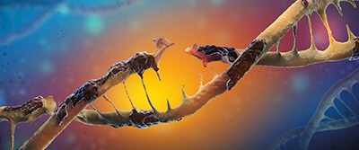 expanding-toolkit-repair-gene-mutations-18-0784 expanding-toolkit-repair-gene-mutations-18-0784