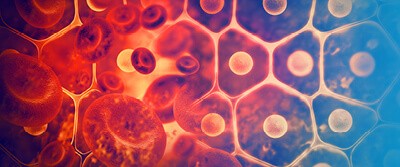 peering-inside-living-cells-17-3172 peering-inside-living-cells-17-3172