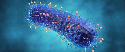 viruses-inside-our-body-17-3172 viruses-inside-our-body-17-3172