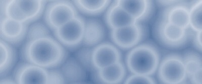 uncovering-effects-food-preservatives-gut-microbiome-18-0784 uncovering-effects-food-preservatives-gut-microbiome-18-0784