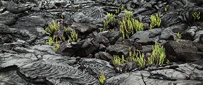 volcanos-good-deeds-18-1603 volcanos-good-deeds-18-1603