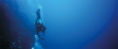 sea-diving-for-medicine-18-1603 sea-diving-for-medicine-18-1603