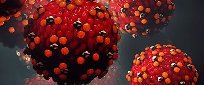 measles-immunity-400-1356 measles-immunity-400-1356