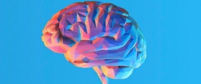 understanding-brain-0400 understanding-brain-0400