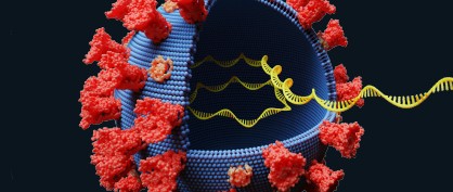 gene-theft-1761 gene-theft-1761