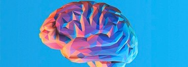 new-technologies-may-increase-our-understanding-the-brain-arch-1761
