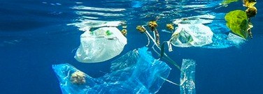 marine-microbes-help-fight-plastic-pollution-arch-1761
