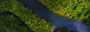 antibiotics-world-rivers-exceed-safe-levels-arch-1761