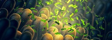 a-potential-link-between-autism-gut-bacteria-arch-1761