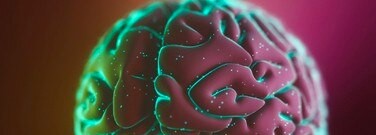 forget-strain-train-your-brain-arch-1761