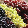 viticulturist-thumb viticulturist-thumb
